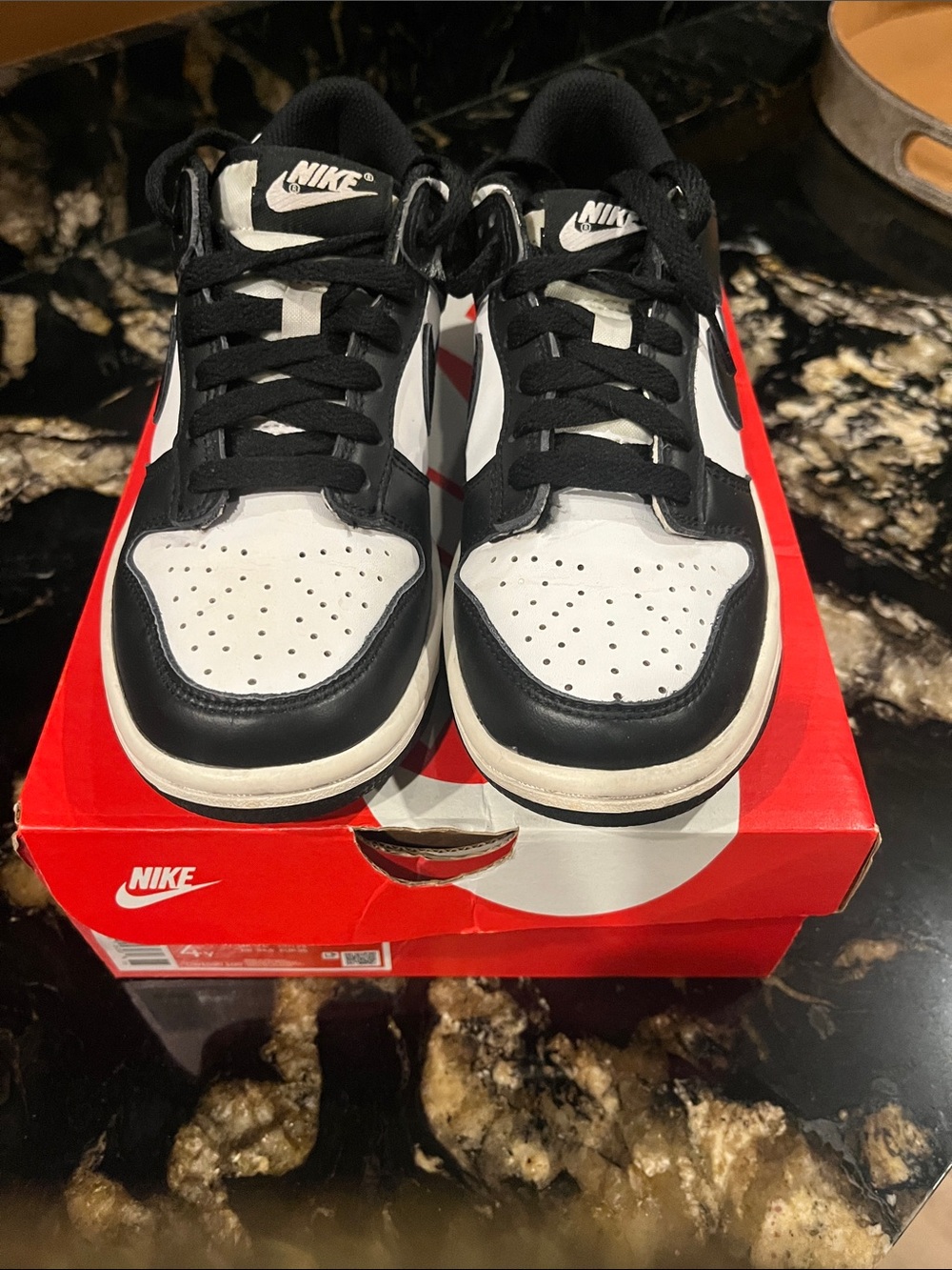 Nike Kids Black and White Low Top Sneakers dunk lows pandas 4